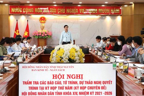 Thẩm tra nhiều nội dung liên quan đến quy hoạch, đầu tư xây dựng