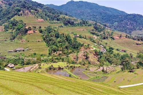 Để du khách không thể bỏ qua Vị Xuyên khi tới Hà Giang