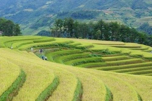 Trải nghiệm trọn vẹn một Việt Nam hấp dẫn, sôi động và tràn đầy sức sống