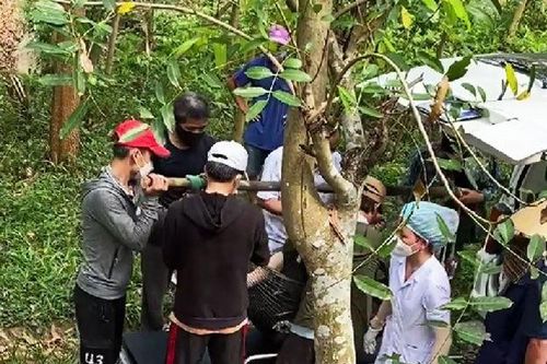 Rủ nhau tắm suối, hai thanh niên đuối nước