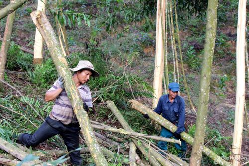 Bị ngọn keo rơi trúng, một người đàn ông tử vong tại chỗ