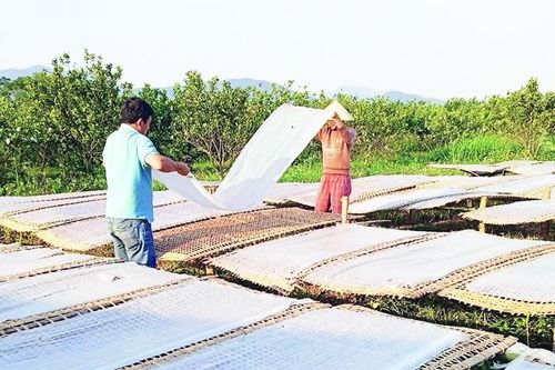 Huyện Ngọc Lặc xây dựng sản phẩm OCOP nhằm nâng cao giá trị các mặt hàng nông sản