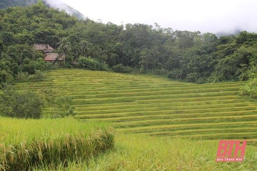 Huyện Quan Hóa phát triển du lịch cộng đồng, tạo sinh kế cho người dân