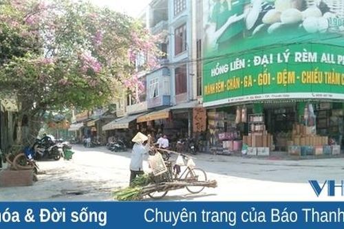 Xe đạp giữa lòng đô thị