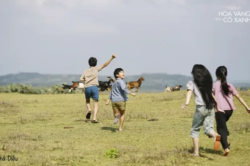 Bộ phim 'Tôi thấy hoa vàng trên cỏ xanh' lên đường chinh phục khán giả Chile