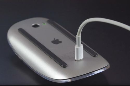 Lý do Magic Mouse có lỗ sạc dưới bụng