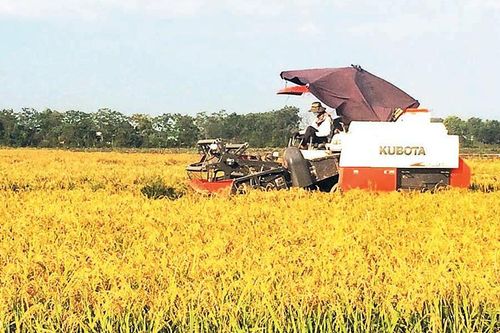 Cơ giới hóa sản xuất nông nghiệp