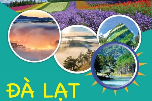 Đà Lạt lọt top 3 điểm đến ngắm hoa đẹp nhất thế giới