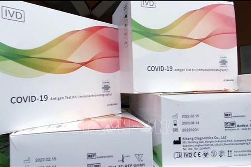 Thu giữ lô hàng sinh phẩm xét nghiệm và thuốc kháng COVID-19 nhập lậu