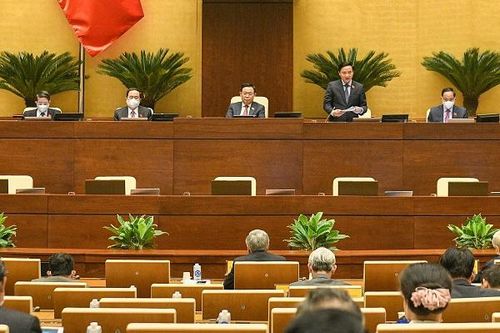 Không thu hẹp đối tượng xử phạt hành chính về sở hữu trí tuệ