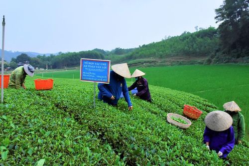Thay đổi nếp nghĩ từ một dự án