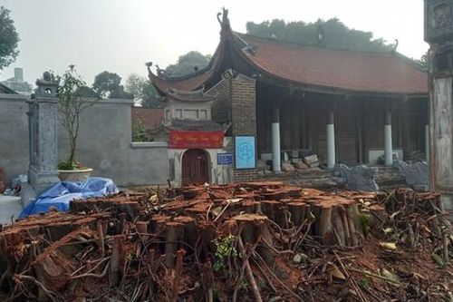 Tăng cường giám sát trong tu bổ di tích