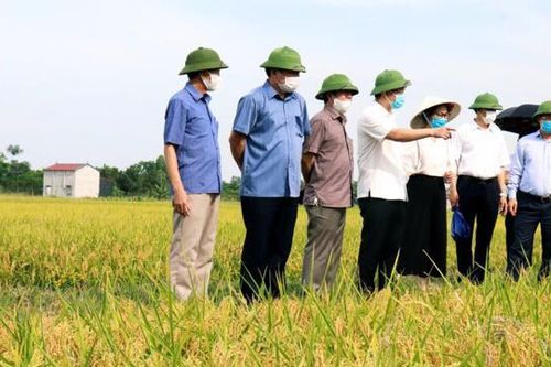 Hà Nội tính chuyện đường dài cho xuất khẩu nông sản