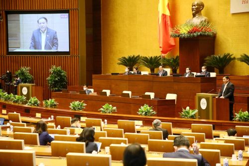 Cơ quan soạn thảo Luật Điện ảnh (sửa đổi) đã nghiên cứu kỹ luật của 20 quốc gia