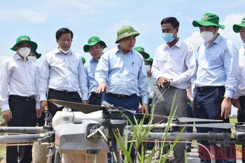 Chủ tịch nước khảo sát mô hình hợp tác xã, hội quán tại Đồng Tháp