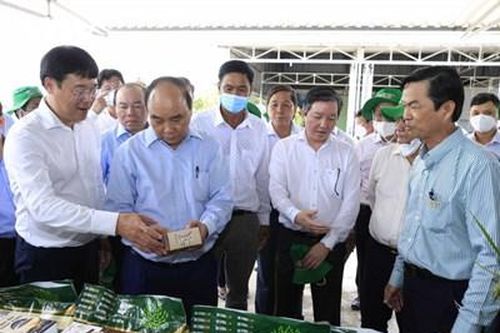 Đồng Tháp cần nhân rộng mô hình hợp tác xã kiểu mới