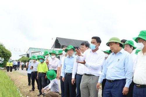 Chủ tịch nước Nguyễn Xuân Phúc khen ngợi mô hình Hội quán ở Đồng Tháp