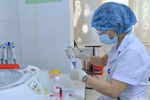 Nghệ An: Tập huấn nâng cao chất lượng chẩn đoán và điều trị các bệnh về máu