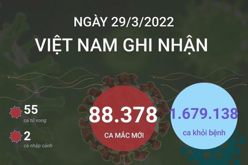 Cập nhật tình hình dịch COVID-19 tại Việt Nam