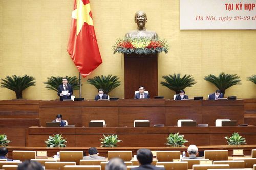 Bảo vệ quyền và lợi ích của người mua bảo hiểm