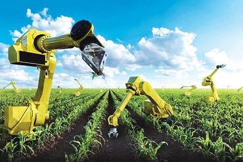 Sẽ xây dựng 5 vùng nguyên liệu sản xuất nông sản theo hướng hiện đại, chất lượng cao