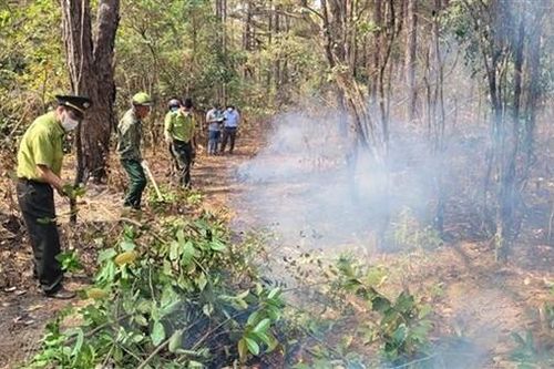 Gia Lai: Lập tổ phòng, chống cháy rừng tại chỗ vào mùa khô