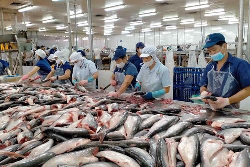 Vĩnh Hoàn dự kiến bán hơn 1,4 triệu cổ phiếu quỹ