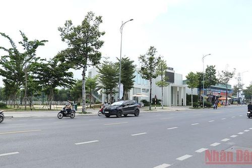 Nhiều sai phạm trong quản lý, sử dụng đất đai ở Biên Hòa