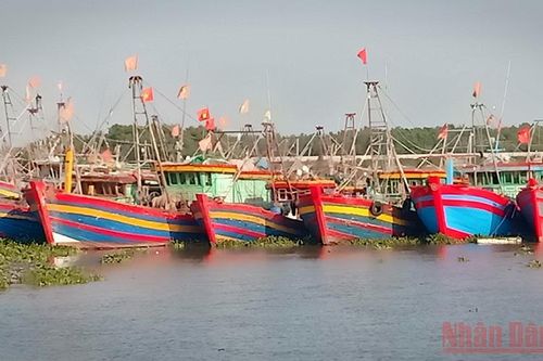 60% tàu cá ở Thái Bình hoạt động cầm chừng do giá nhiên liệu tăng cao