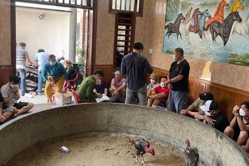 Đà Nẵng: Đôi vợ chồng dùng phòng khách mở sới gà cho hàng chục con bạc