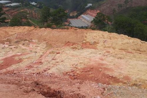 Chậm khắc phục sau vi phạm san ủi rừng trái phép