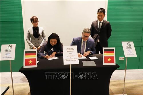 Việt Nam tham dự Đối thoại Chuyển đổi năng lượng Berlin lần thứ 8