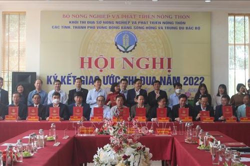 13 tỉnh, thành chung sức xây dựng nền nông nghiệp hiện đại