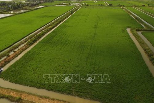 Tìm lời giải cho bài toán nâng cao giá trị nông sản