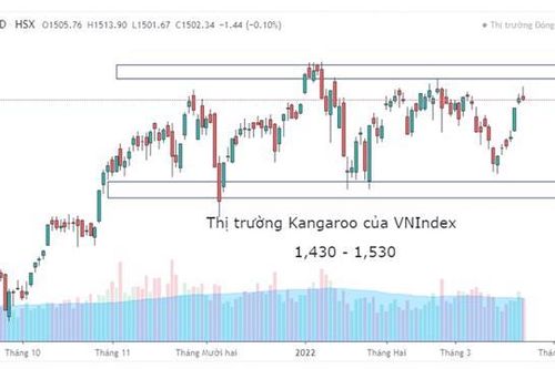 Thị trường chứng khoán đi ngang, đầu tư thế nào cho hiệu quả?