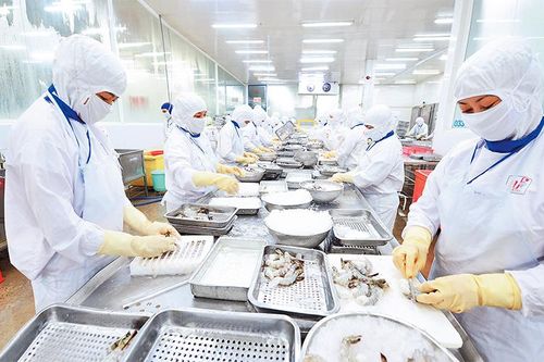 Nỗ lực cải thiện môi trường đầu tư, kinh doanh