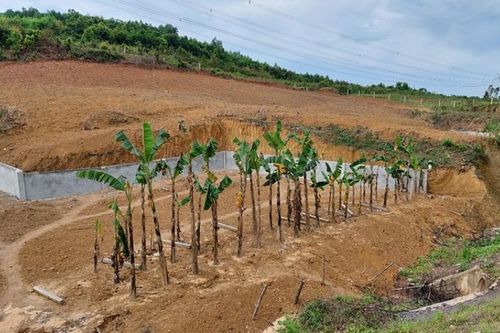 Quảng Bình yêu cầu giữ nguyên hiện trạng, không chuyển mục đích sử dụng đất khu vực xây dựng cao tốc bắc-nam