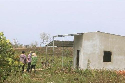 Ngang nhiên dựng nhà, mua bán đất rừng quanh hang động núi lửa