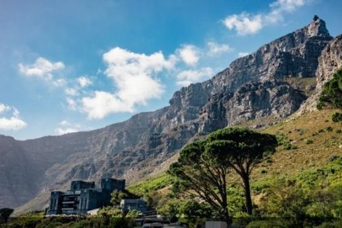 10 điều hay nhất nên làm tại Cape Town