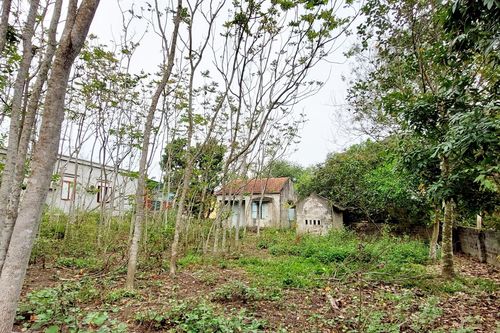 Quảng Ninh: Người dân vùng dự án 'sống mòn' vì quy hoạch 'treo'
