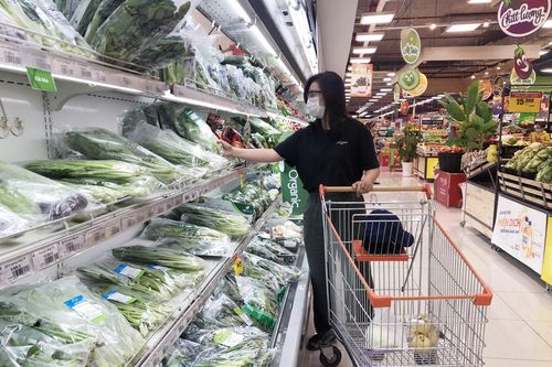 Thương mại, dịch vụ Thành phố Hồ Chí Minh trên đà phục hồi nhanh