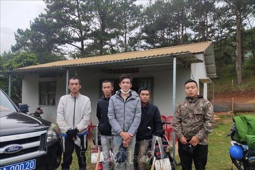 Lâm Đồng: Bắt quả tang 5 đối tượng phá rừng phòng hộ