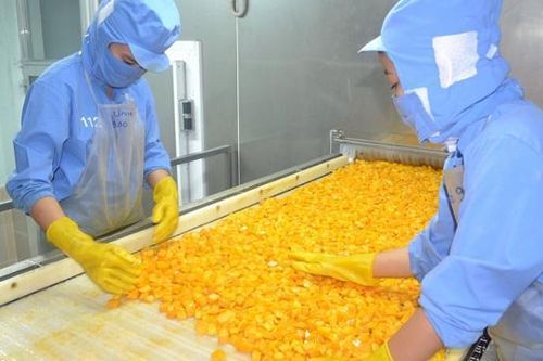Nông sản Việt làm gì để chinh phục thị trường Nhật?