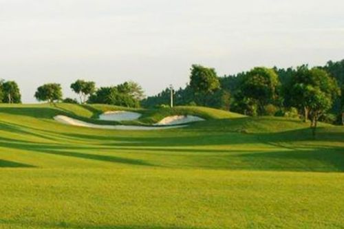 Đấu giá khoản nợ hơn 800 tỷ đồng của chủ dự án sân golf Đầm Vạc ở Vĩnh Phúc để thu hồi nợ xấu