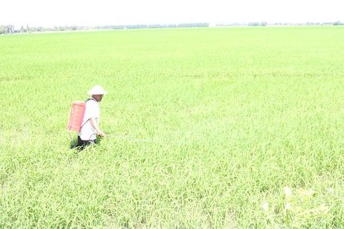 Tín hiệu vui từ mô hình thi đua phấn đấu trở thành 'Người nông dân chuyên nghiệp'