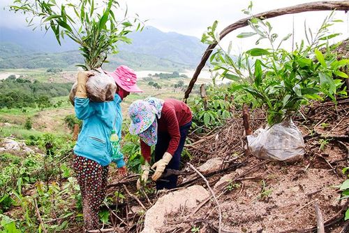 Chương trình 'Nâng bước em tới trường - Con nuôi đồn Biên phòng': Tuyên dương học sinh, sinh viên tiêu biểu