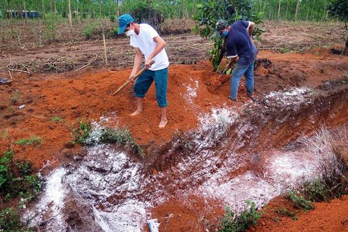 Kon Tum tiêu hủy 1.700 con gia cầm do mắc cúm H5N1
