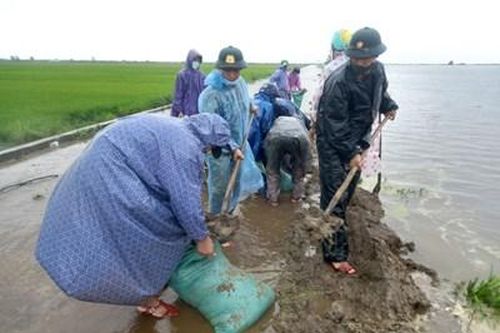 Khẩn trương huy động bộ đội, dân quân tham gia đắp đê ngăn lũ cứu lúa