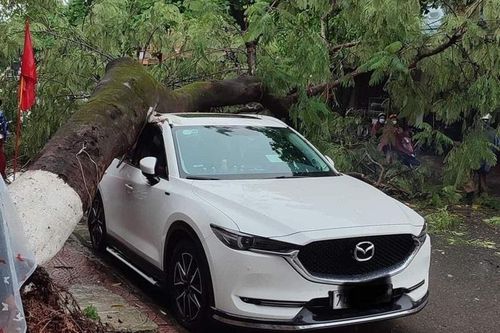 Mưa lớn khiến nhiều địa bàn bị chia cắt, hàng ngàn ha lúa, hoa màu ngập úng, đổ rạp tại Quảng Trị