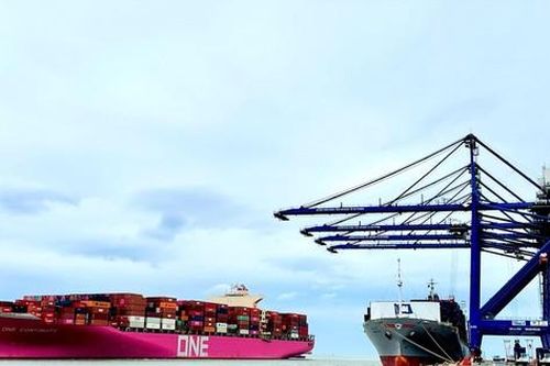 Cảng container Quốc tế Tân Cảng Hải Phòng đón tuyến mới đi bờ Tây Hoa Kỳ